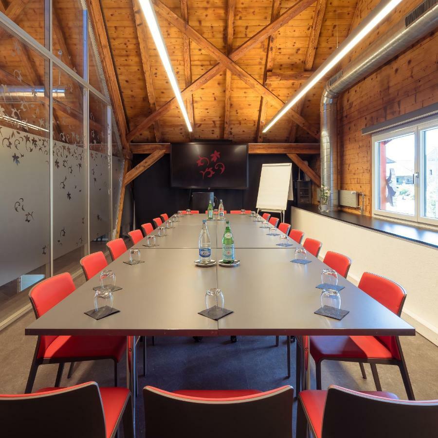 Le Manoir Vionnaz Hotel Buitenkant foto